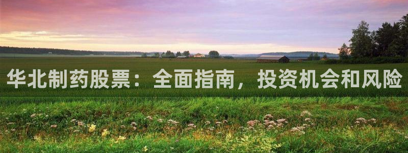 九游会老哥俱乐部：华北制药股票：全面指南，投资机会和风险