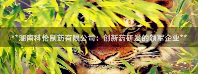 9游会老哥俱乐部：**湖南科伦制药有限公司：创新药研发的领军企业**