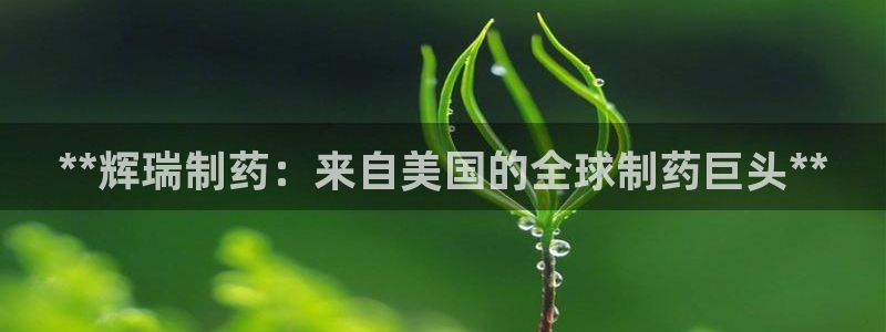 老哥俱乐部是干什么的啊：**辉瑞制药：来自美国的全球制药巨头**