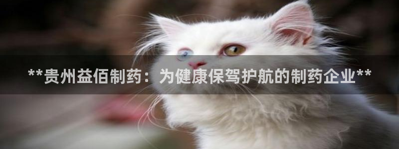 老哥俱乐部是干什么的：**贵州益佰制药：为健康保驾护航的制药企业**