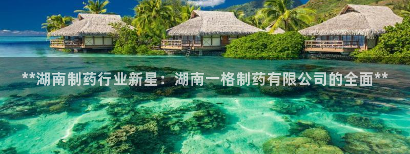 九游会老哥俱乐部官网首页：**湖南制药行业新星：湖南一格制药有限公司的全面**