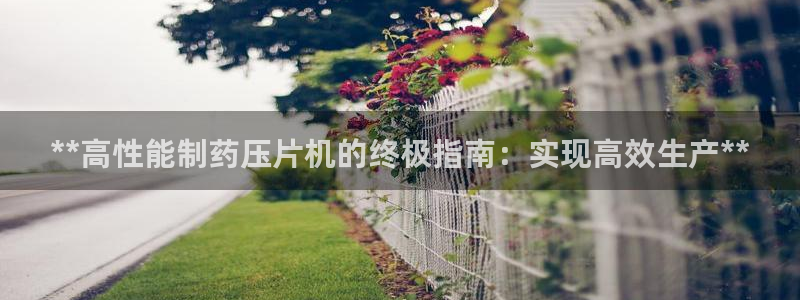老哥吧九游会下架吗：**高性能制药压片机的终极指南：实现高效生产**