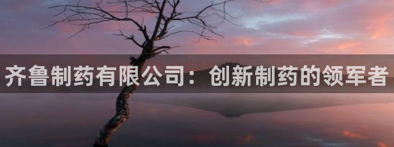 九游会老哥俱乐部论坛版：齐鲁制药有限公司：创新制药的领军者