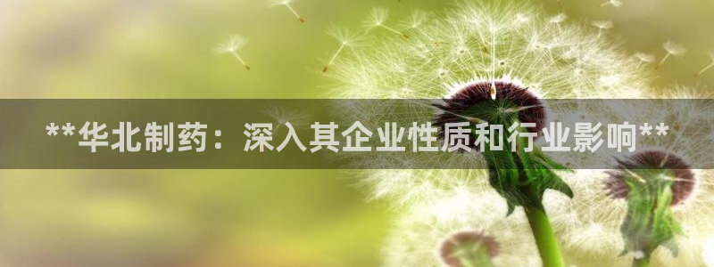 九游会老哥俱乐部官网首页：**华北制药：深入其企业性质和行业影响**