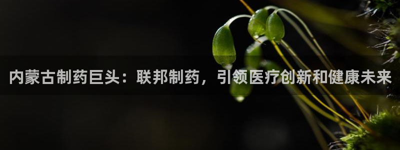 九游会老哥俱乐部官网：内蒙古制药巨头：联邦制药，引领医疗创新和健康未来