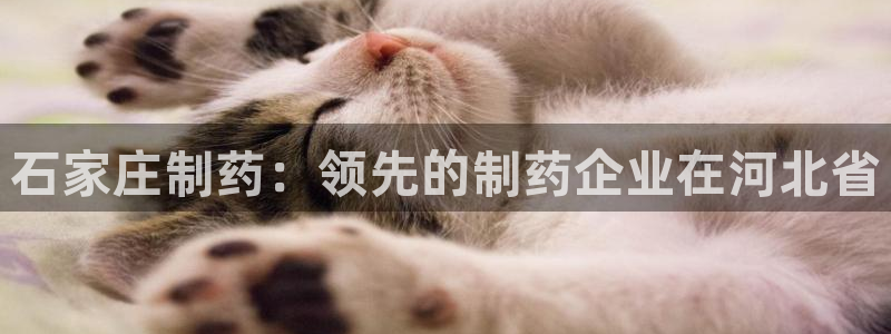 ag九游老哥俱乐部：石家庄制药：领先的制药企业在河北省
