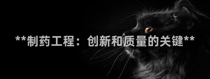 ag九游会老哥：**制药工程：创新和质量的关键**