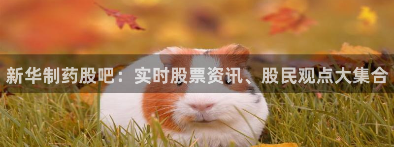 ag九游会老哥俱乐部：新华制药股吧：实时股票资讯、股民观点大集合