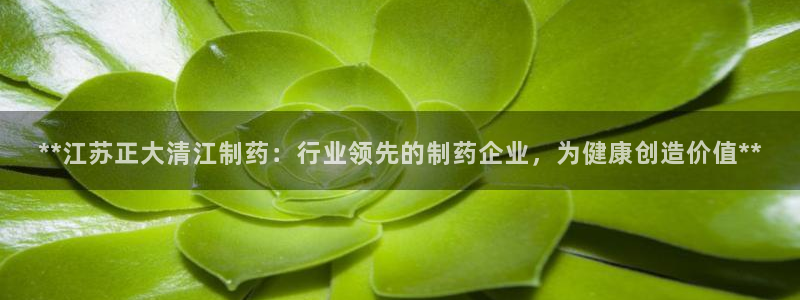 九游老哥俱乐部官网登录：**江苏正大清江制药：行业领先的制药企业，为健康创造价值**