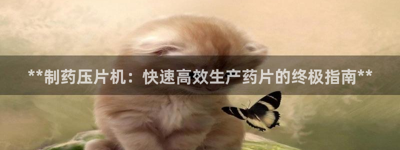 九游会老哥：**制药压片机：快速高效生产药片的终极指南**