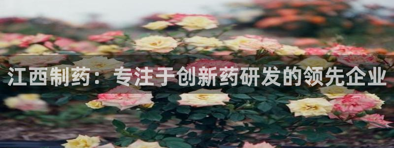 九游会老哥俱乐部交流社区：江西制药：专注于创新药研发的领先企业