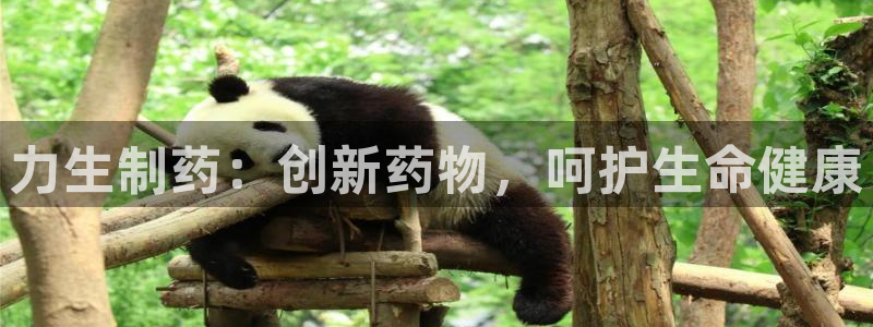 j9九游会老哥俱乐部交流区：力生制药：创新药物，呵护生命健康