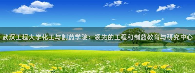 九游老哥俱乐部官网登录入口：武汉工程大学化工与制药学院：领先的工程和制药教育与研究中心