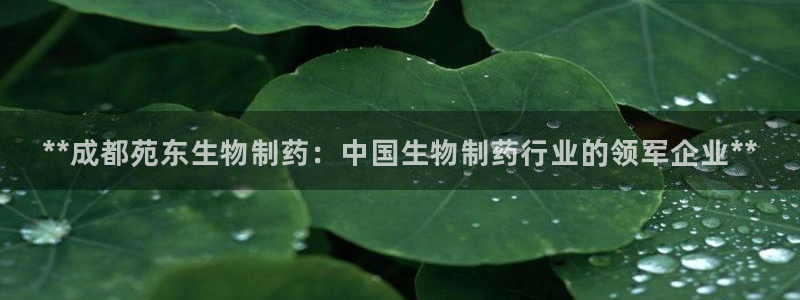 ag九游会老哥俱乐部：**成都苑东生物制药：中国生物制药行业的领军企业**