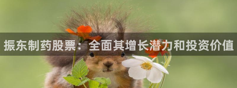 9游会老哥俱乐部：振东制药股票：全面其增长潜力和投资价值