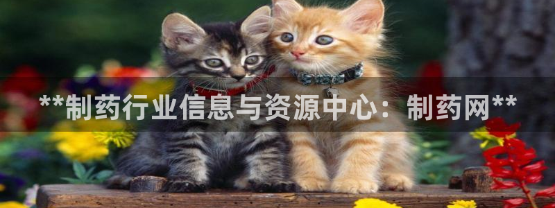 ag九游会老哥：**制药行业信息与资源中心：制药网**