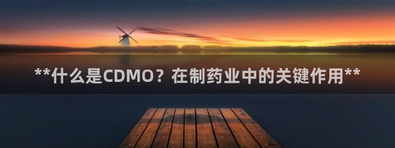 九游会老哥必备的交流社区：**什么是CDMO？在制药业中的关键作用**