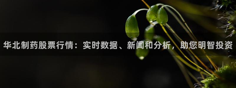 9游会老哥俱乐部：华北制药股票行情：实时数据、新闻和分析，助您明智投资