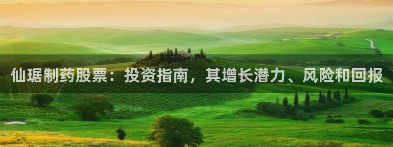 九游会老哥俱乐部官方网站：仙琚制药股票：投资指南，其增长潜力、风险和回报