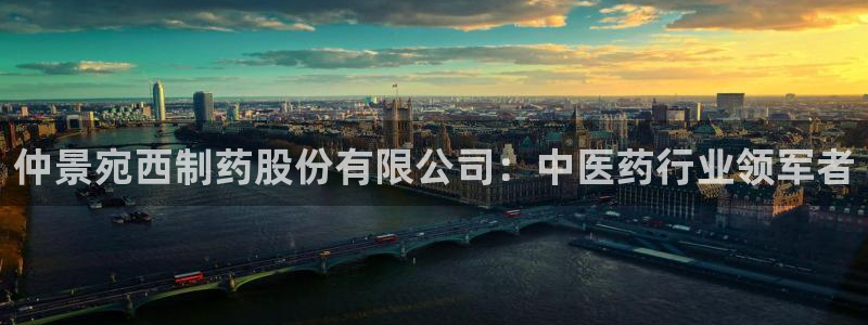 九游会老哥俱乐部必备的交流社区：仲景宛西制药股份有限公司：中医药行业领军者