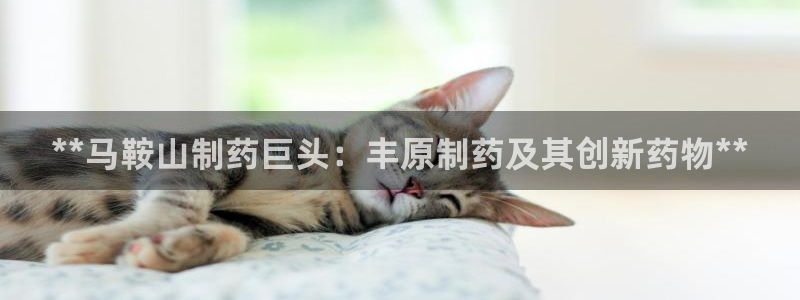 九游会老哥：**马鞍山制药巨头：丰原制药及其创新药物**