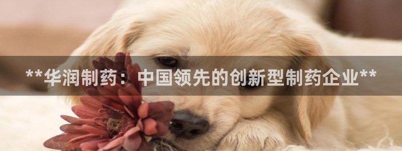 ag九游会老哥：**华润制药：中国领先的创新型制药企业**