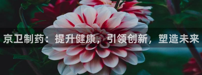 九游老哥俱乐部官网登录：京卫制药：提升健康，引领创新，塑造未来