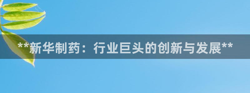 9游会老哥：**新华制药：行业巨头的创新与发展**