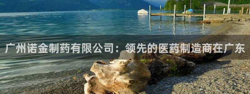 9游会老哥：广州诺金制药有限公司：领先的医药制造商在广东