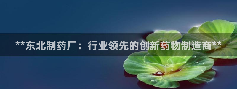 usdt九游会老哥俱乐部：**东北制药厂：行业领先的创新药物制造商**