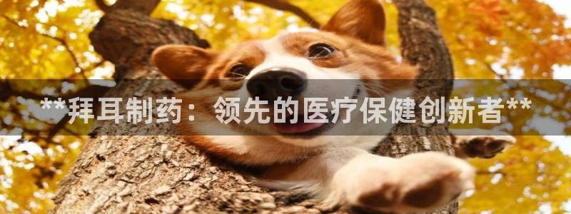 九游会老哥俱乐部论坛版：**拜耳制药：领先的医疗保健创新者**