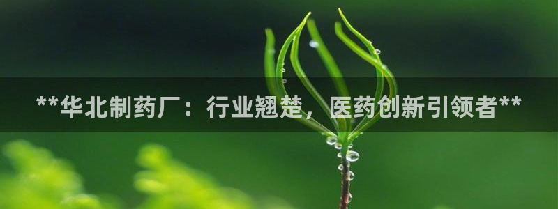 ag九游会老哥俱乐部：**华北制药厂：行业翘楚，医药创新引领者**