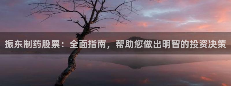 九游老哥俱乐部官网登录入口：振东制药股票：全面指南，帮助您做出明智的投资决策
