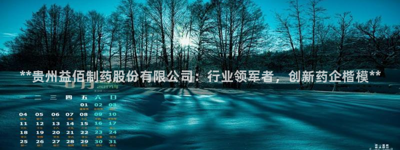 九游会老哥俱乐部：**贵州益佰制药股份有限公司：行业领军者，创新药企楷模**