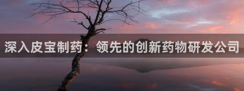 9游会老哥：深入皮宝制药：领先的创新药物研发公司