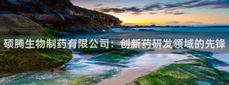 老哥吧九游会下架吗：硕腾生物制药有限公司：创新药研发领域的先锋