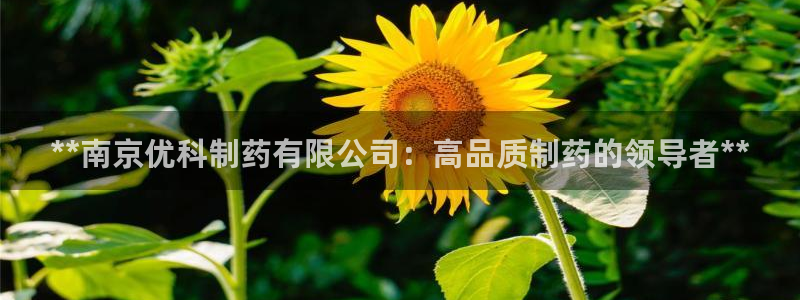 老哥吧九游会：**南京优科制药有限公司：高品质制药的领导者**