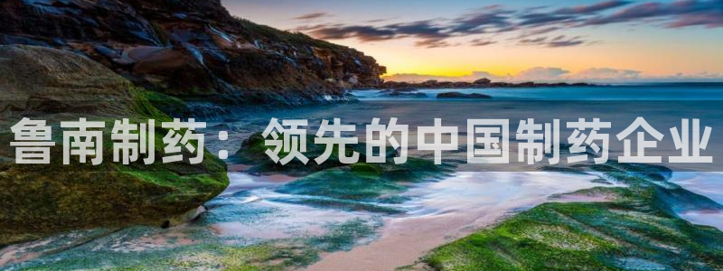 九游会老哥必备的交流社区：鲁南制药：领先的中国制药企业