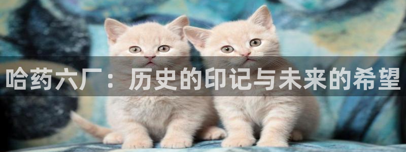 九游会老哥：哈药六厂：历史的印记与未来的希望