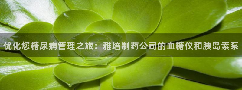 九游老哥俱乐部官网登录网址：优化您糖尿病管理之旅：雅培制药公司的血糖仪和胰岛素泵