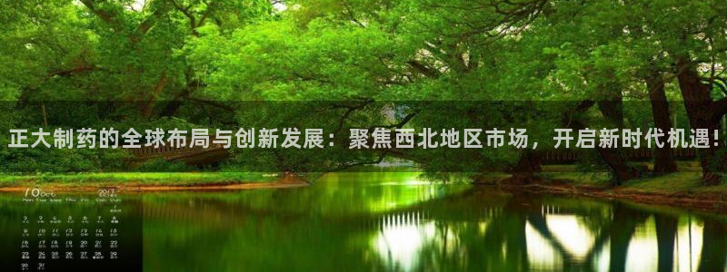 九游会老哥必备的交流社区：正大制药的全球布局与创新发展：聚焦西北地区市场，开启新时代机遇!