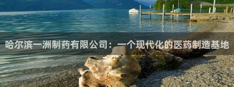 九游老哥俱乐部官网登录：哈尔滨一洲制药有限公司：一个现代化的医药制造基地