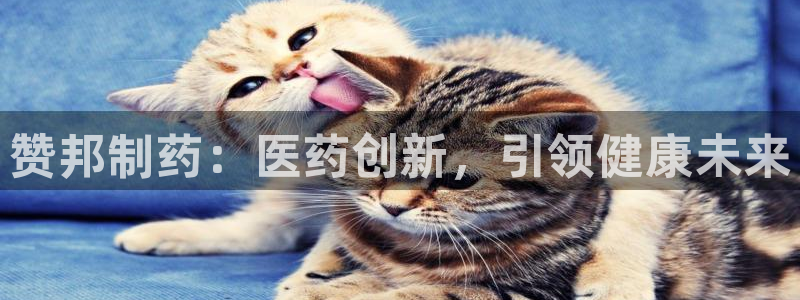 老哥俱乐部是干什么的
