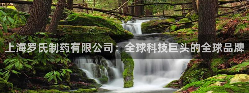 j9九游会老哥俱乐部交流区