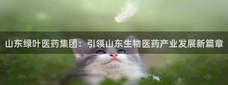 9游会老哥：山东绿叶医药集团：引领山东生物医药产业发展新篇章