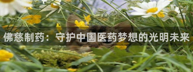 usdt九游会老哥俱乐部
