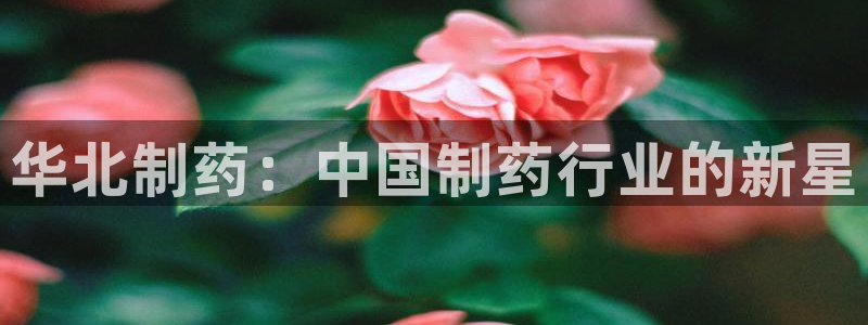 九游会老哥俱乐部必备的交流社区：华北制药：中国制药行业的新星