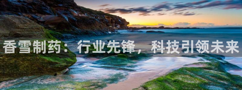 老哥俱乐部是干什么的：香雪制药：行业先锋，科技引领未来