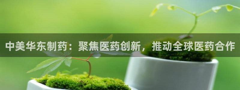 j9九游会老哥俱乐部交流区：中美华东制药：聚焦医药创新，推动全球医药合作