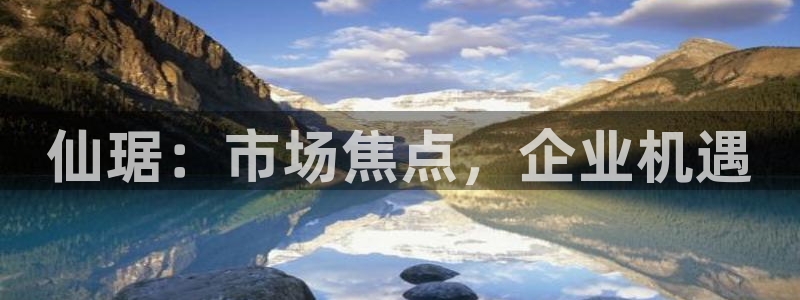 老哥俱乐部是干什么的啊：仙琚：市场焦点，企业机遇